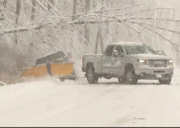 Falling trees kill 4 as storms slam Northeast