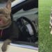 Pet owner raises concerns after her French Bulldogs are stolen from her car at a shopping center in Smyrna