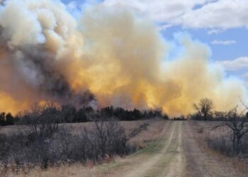 Multiple homes and thousands of acres devastated by Kansas wildfires