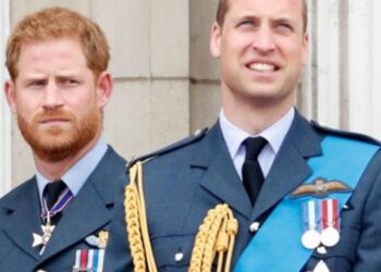 Expert predicts potential loss of 'top adviser' for future king due to Prince Harry and William's feud