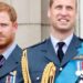 Expert predicts potential loss of 'top adviser' for future king due to Prince Harry and William's feud